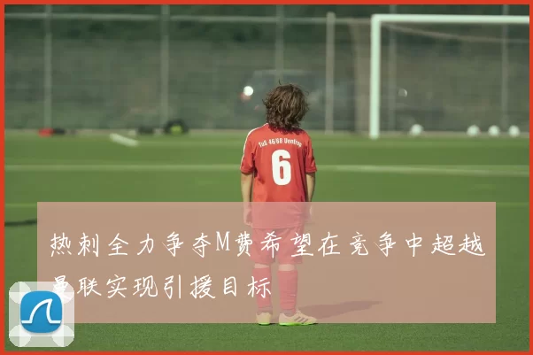 热刺全力争夺M费希望在竞争中超越曼联实现引援目标